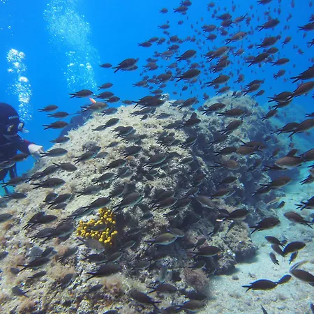 Lägenhet Bikin Brela